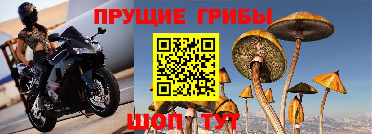 Галлюциногенные грибы Magic Shrooms  наркота  Вход с VPN  Жигулёвск  Галлюциногенные грибы Psilocybe 
